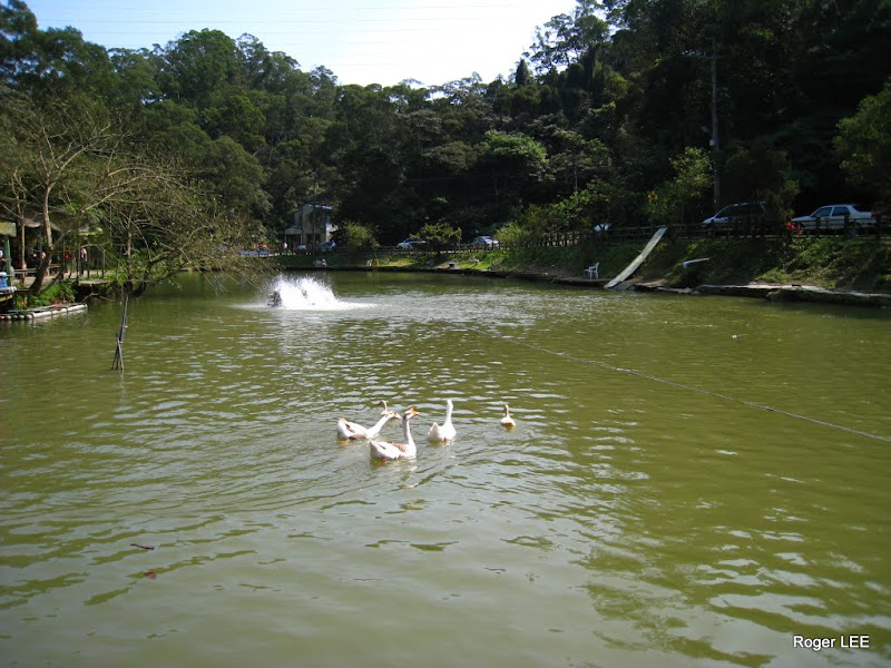 圖檔