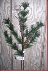 Picture 017