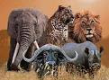 Hunting, Hobbies & Interests