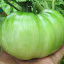 Tomato 'Amana Orange'