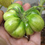 Tomato 'Reisetomate' 