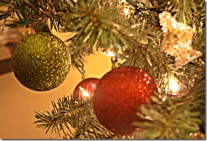 IMG_6716 IMG_6716