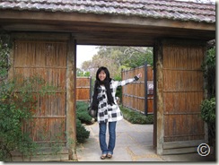 IMG_1680 IMG_1680