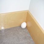 DSCN0552.JPG
