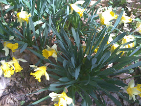 Posted via email from gregvedders's posterous