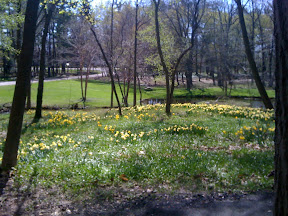 Posted via email from gregvedders's posterous