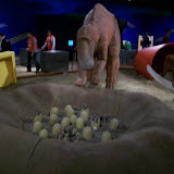 GR Jaycees Foundation DINOSAUR Discovery Night