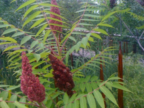 Posted via web from gregvedders's posterous