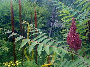 Posted via web from gregvedders's posterous