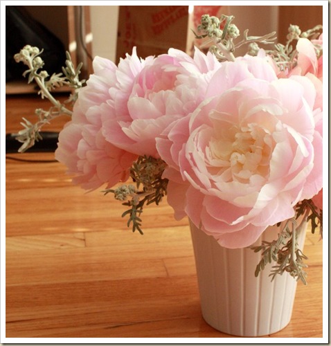 Mrs. FDR peonies Mrs. FDR peonies