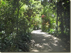 Bot Gardens - Soufriere (Small)