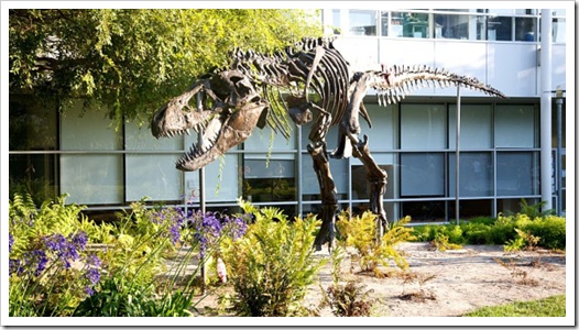 T-rex at GooglePlex T-rex at GooglePlex