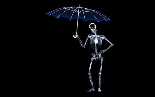(38)Umbrella -Widescreen-X-Ray-Hd-Desktop-Wallpaper (38)Umbrella
-Widescreen-X-Ray-Hd-Desktop-Wallpaper