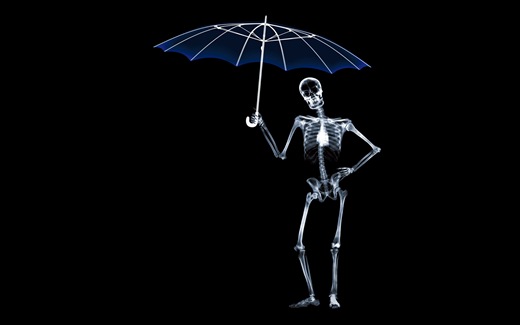 (38)Umbrella -Widescreen-X-Ray-Hd-Desktop-Wallpaper