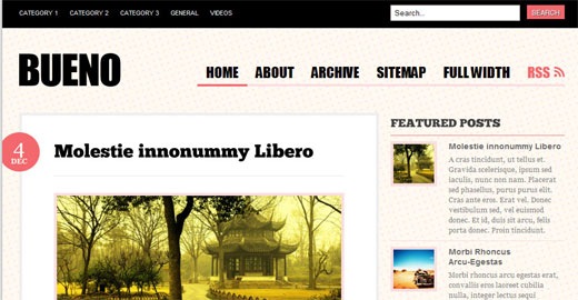 [Bueno-Free- premium-magazine-style- wideget-ready -wordpress-theme-2009[2].jpg]
