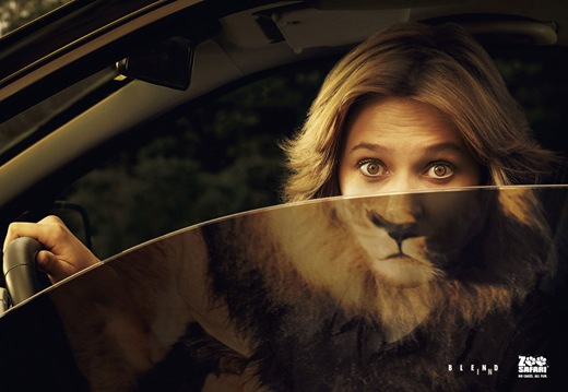 Creative-advertising-hd-desktop-wallpapers-zoo-safari -ad
