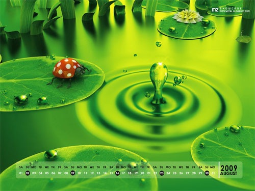 3d Green Natural, HD, High Resolution Desktop Wallpaper Calendar August, 2009