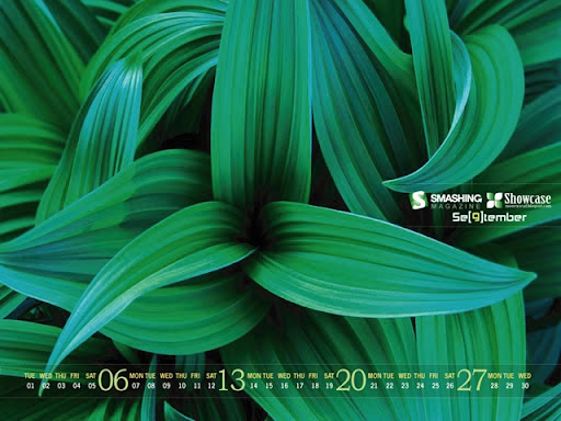 desktop wallpaper calendar. Desktop Wallpaper Calendar For