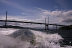 Delfines en Inverness