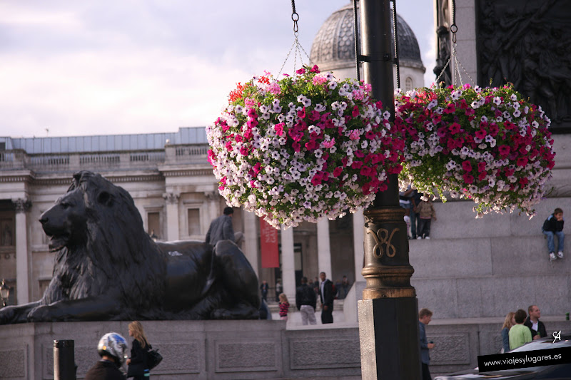 Trafalgar Square. Londres