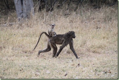 IMG_2890 IMG_2890
