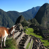 Vacaciones parte IV: Machu Picchu y Valle Sagrado