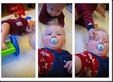triptykninjan triptykninjan