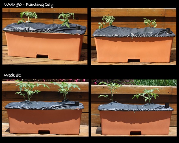 [Earthbox1[4].jpg]