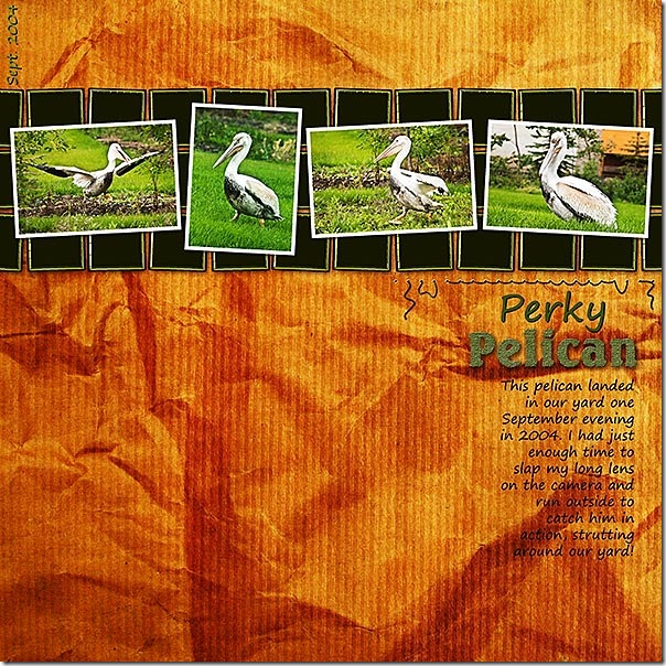 Perky Pelican