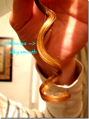 IMG_0043 IMG_0043