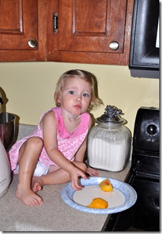 peach ice cream 072710 (1)