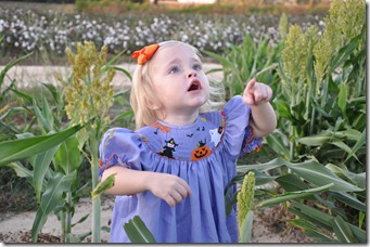 grain saugrum and halloween dress 101510 (6)