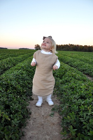 [halloween peanut 103110 (106)[3].jpg]