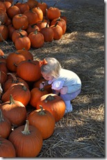 marks melons 102210 (257)