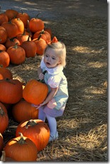 marks melons 102210 (258)