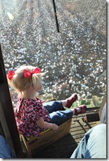 pickin and ridin 102210 (77)