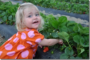 strawberry love 032611 (9)