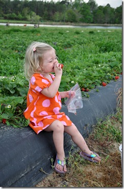strawberry love 032611 (18)