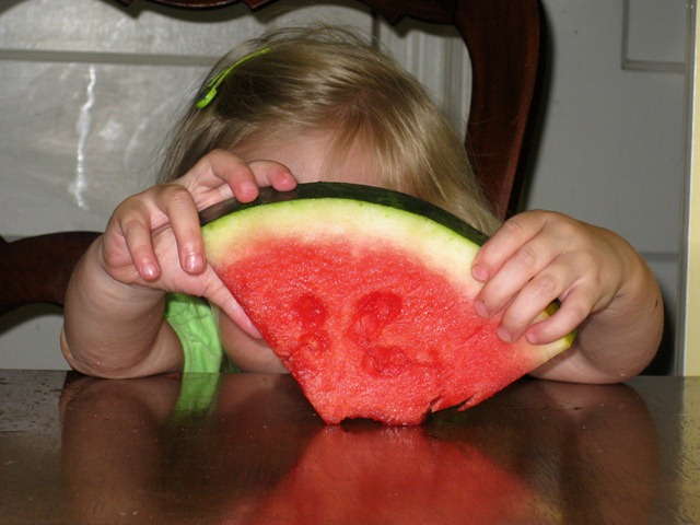 [first watermelon of the year (fl) and redefining seedless 050811 (6)[3].jpg]