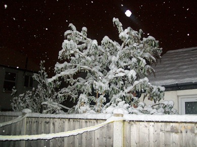 Night snow