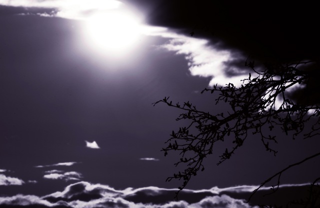 [a calm night[4].jpg]
