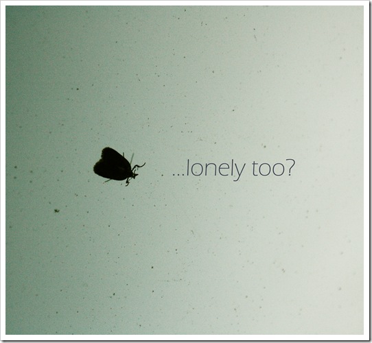 alone