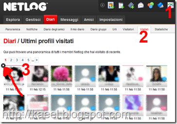 netlog statistiche visitati prima cancellazione netlog statistiche visitati prima cancellazione