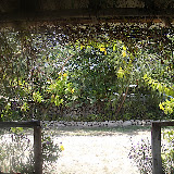  &ndash; Ocho Rios, Jamaica