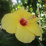 &ndash; Ocho Rios, Jamaica