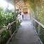  &ndash; Ocho Rios, Jamaica