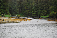 DSC_05210009.JPG Photo