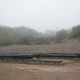 Early a.m. fog 1/24