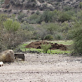 Watering hole complete 2/5