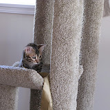 Day two - Niña